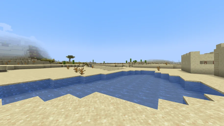 Desert Lake in Minecraft