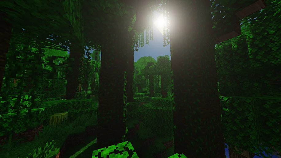 Minecraft Jungle with Chocapic Toaster Edition shaders