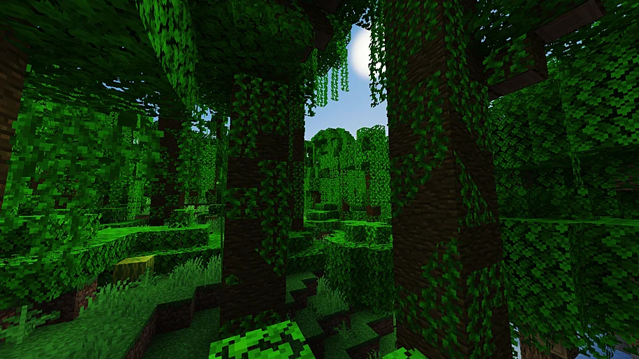 Minecraft Jungle with YoFPS Shader