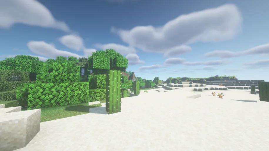 Minecraft desert with a cactus in the foreground with BSL Shaders
