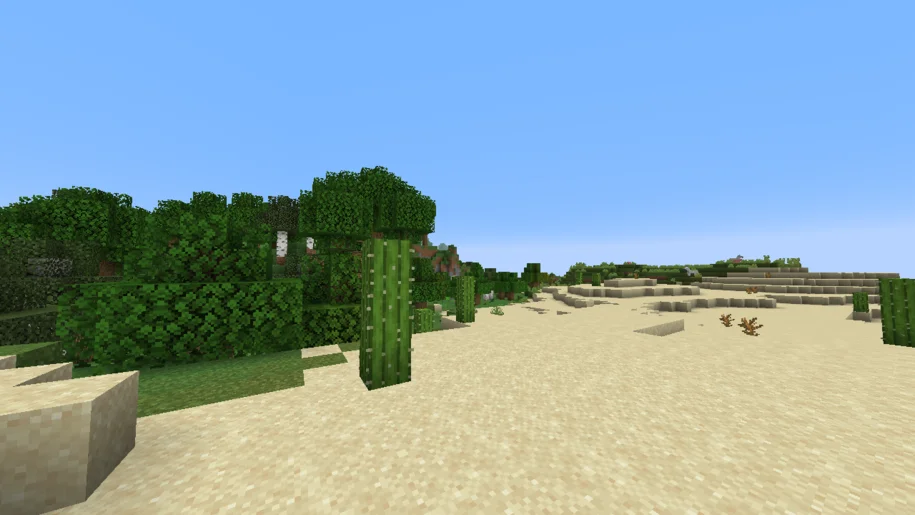 Minecraft desert with a cactus in the foreground