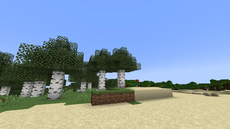 Minecraft birch forest near a desert