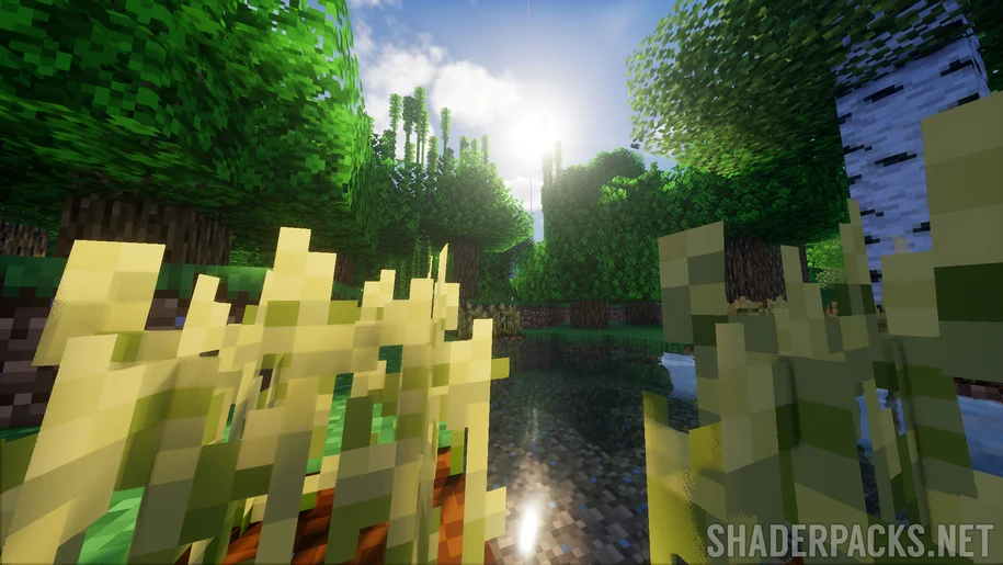 Bliss Shader in Minecraft over an oak forest